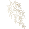 Leaf Icon