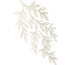 Left decorative leaf