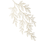 Leaf Icon